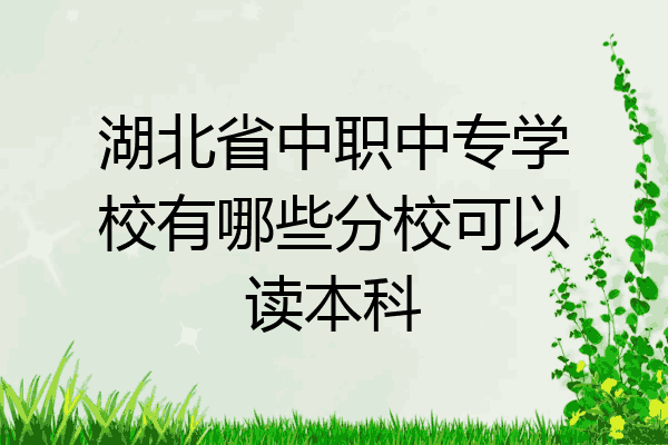 湖北省中职中专学校有哪些分校可以读本科