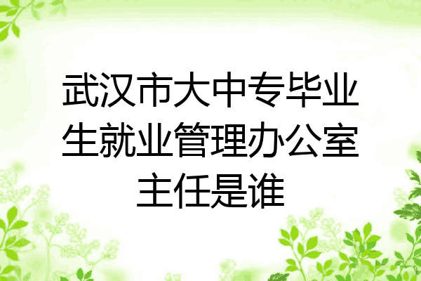 武汉市大中专毕业生就业管理办公室主任是谁