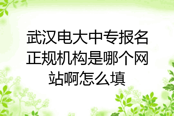 武汉电大中专报名正规机构是哪个网站啊怎么填
