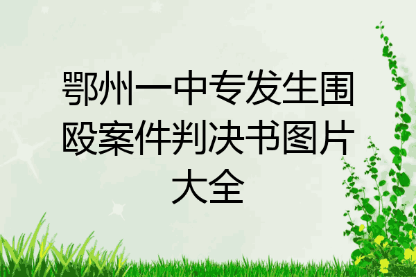 鄂州一中专发生围殴案件判决书图片大全