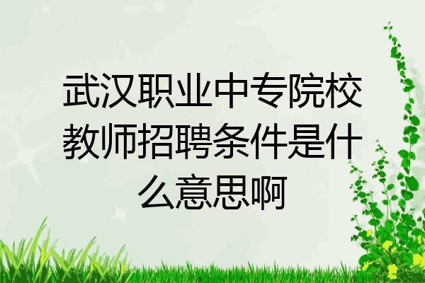 武汉职业中专院校教师招聘条件是什么意思啊