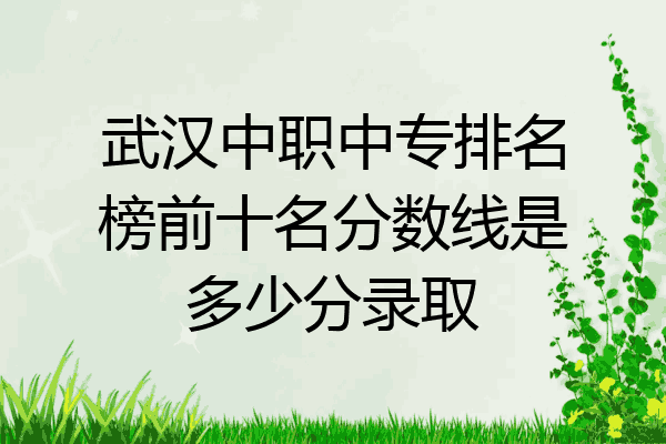 武汉中职中专排名榜前十名分数线是多少分录取