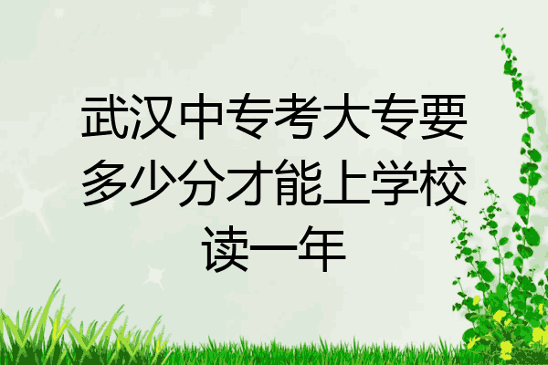 武汉中专考大专要多少分才能上学校读一年