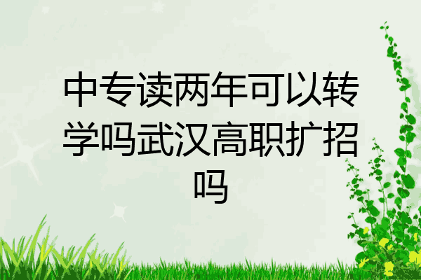 中专读两年可以转学吗武汉高职扩招吗