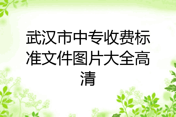 武汉市中专收费标准文件图片大全高清