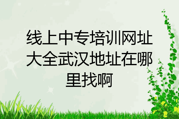 线上中专培训网址大全武汉地址在哪里找啊