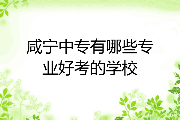 咸宁中专有哪些专业好考的学校