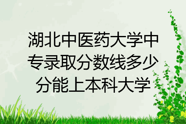 湖北中医药大学中专录取分数线多少分能上本科大学
