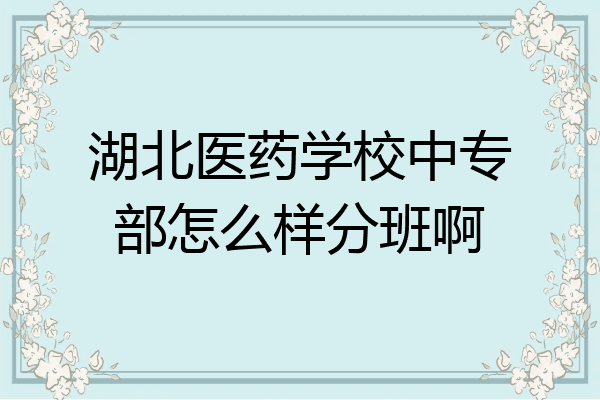 湖北医药学校中专部怎么样分班啊