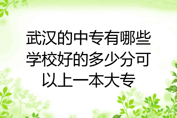 武汉的中专有哪些学校好的多少分可以上一本大专