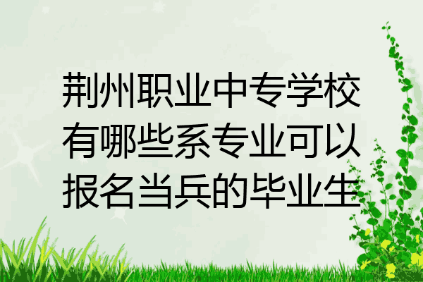 荆州职业中专学校有哪些系专业可以报名当兵的毕业生