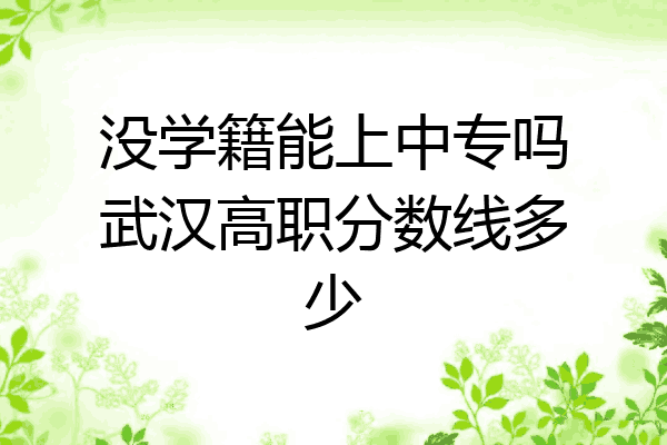 没学籍能上中专吗武汉高职分数线多少