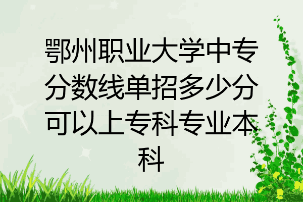 鄂州职业大学中专分数线单招多少分可以上专科专业本科