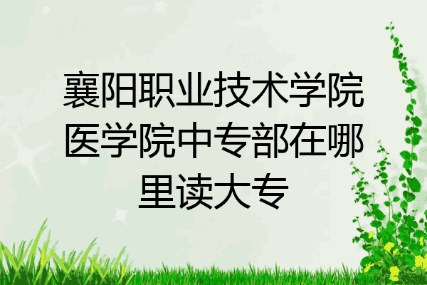 襄阳职业技术学院医学院中专部在哪里读大专