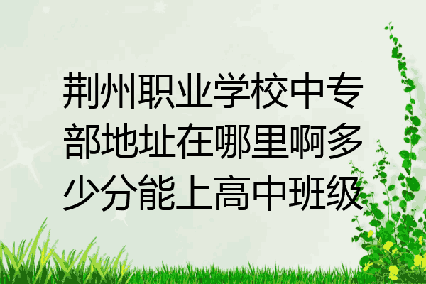 荆州职业学校中专部地址在哪里啊多少分能上高中班级