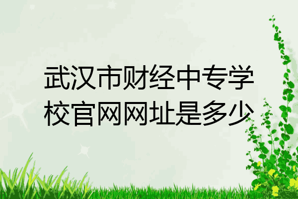 武汉市财经中专学校官网网址是多少