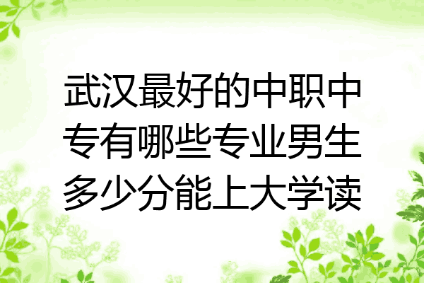 武汉最好的中职中专有哪些专业男生多少分能上大学读