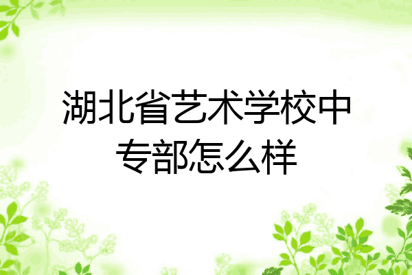 湖北省艺术学校中专部怎么样