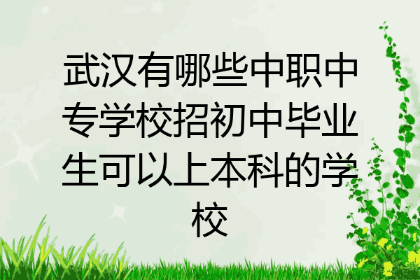 武汉有哪些中职中专学校招初中毕业生可以上本科的学校