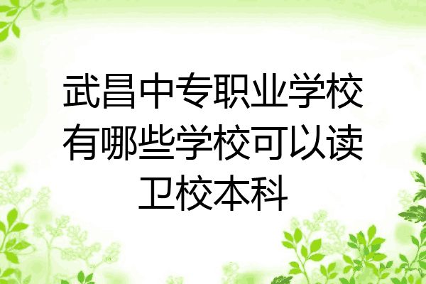 武昌中专职业学校有哪些学校可以读卫校本科