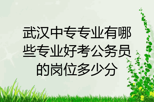 武汉中专专业有哪些专业好考公务员的岗位多少分