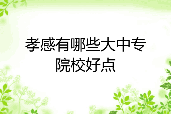 孝感有哪些大中专院校好点