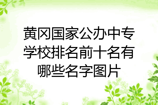 黄冈国家公办中专学校排名前十名有哪些名字图片