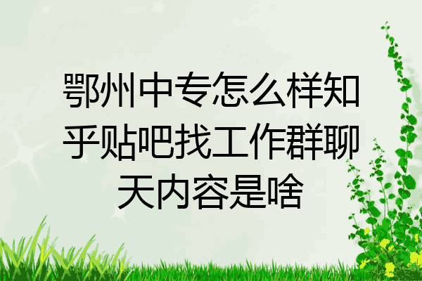 鄂州中专怎么样知乎贴吧找工作群聊天内容是啥