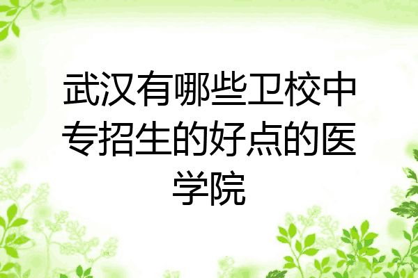 武汉有哪些卫校中专招生的好点的医学院