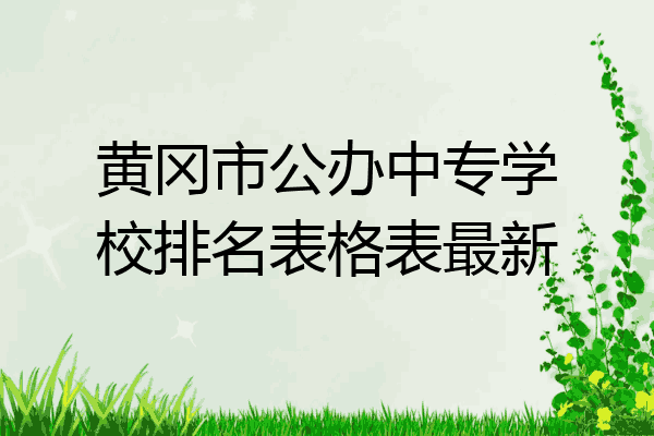 黄冈市公办中专学校排名表格表最新