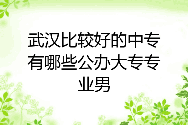 武汉比较好的中专有哪些公办大专专业男