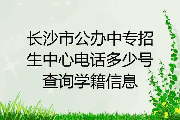 长沙市公办中专招生中心电话多少号查询学籍信息