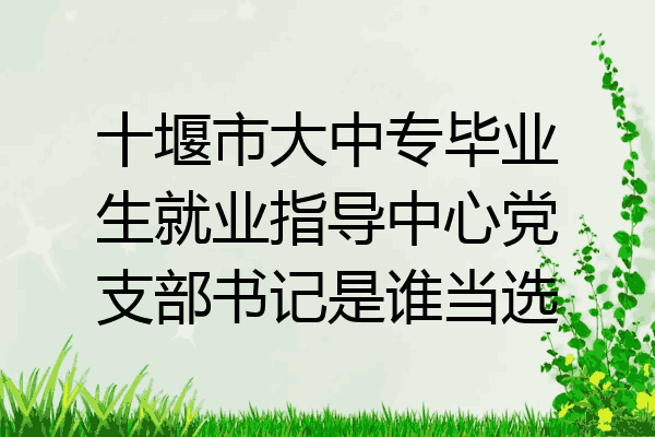 十堰市大中专毕业生就业指导中心党支部书记是谁当选