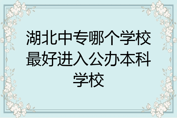 湖北中专哪个学校最好进入公办本科学校