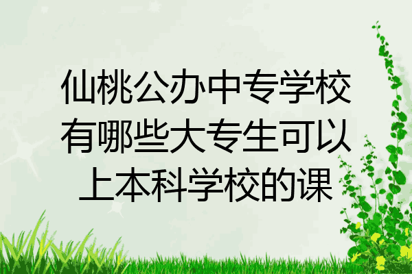 仙桃公办中专学校有哪些大专生可以上本科学校的课