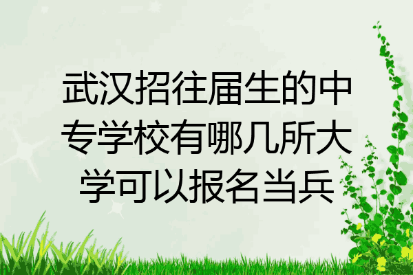 武汉招往届生的中专学校有哪几所大学可以报名当兵