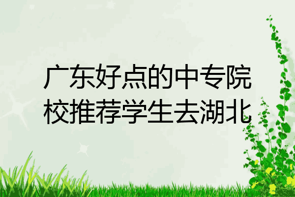 广东好点的中专院校推荐学生去湖北