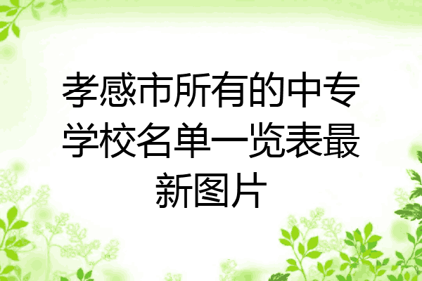 孝感市所有的中专学校名单一览表最新图片