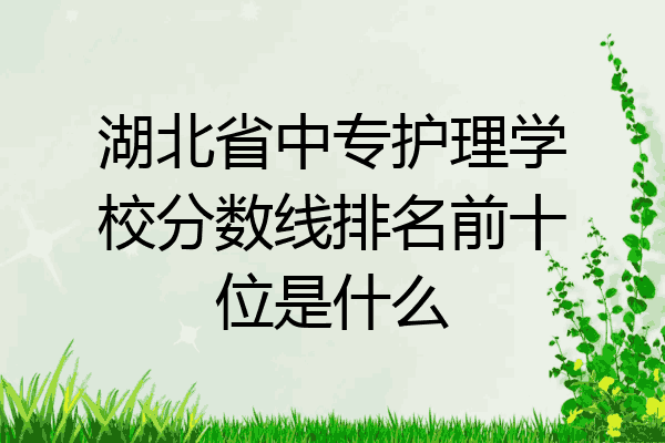 湖北省中专护理学校分数线排名前十位是什么