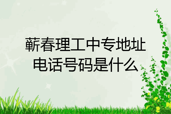 蕲春理工中专地址电话号码是什么