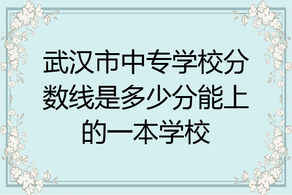 武汉市中专学校分数线是多少分能上的一本学校