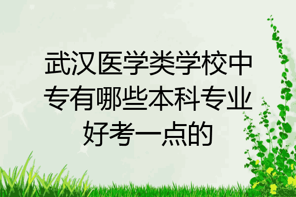 武汉医学类学校中专有哪些本科专业好考一点的
