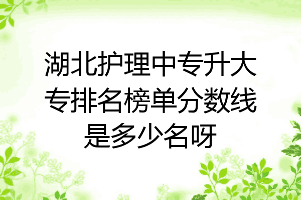 湖北护理中专升大专排名榜单分数线是多少名呀