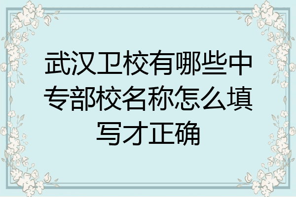 武汉卫校有哪些中专部校名称怎么填写才正确