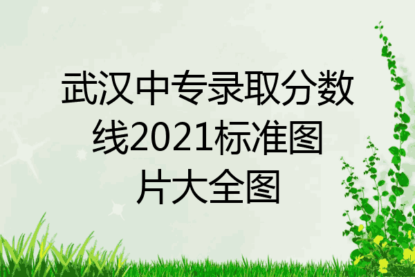 武汉中专录取分数线2021标准图片大全图