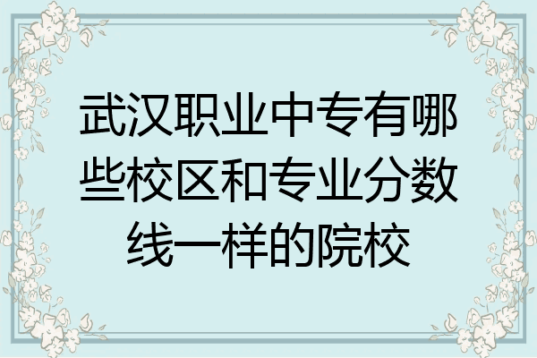 武汉职业中专有哪些校区和专业分数线一样的院校