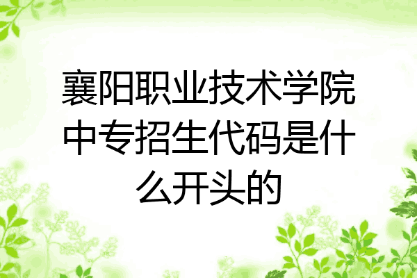 襄阳职业技术学院中专招生代码是什么开头的