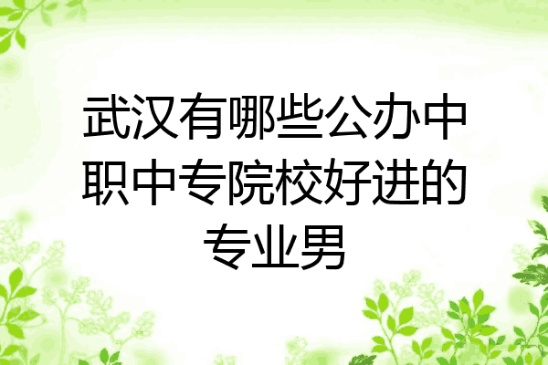 武汉有哪些公办中职中专院校好进的专业男