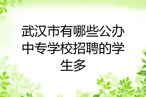 武汉市有哪些公办中专学校招聘的学生多