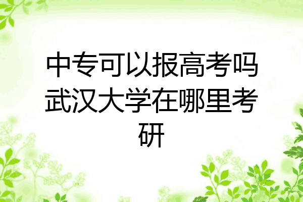 中专可以报高考吗武汉大学在哪里考研
